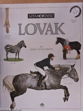 Lovak