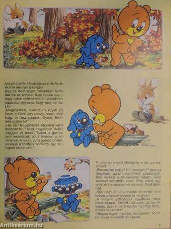 Buci Maci 1991. október