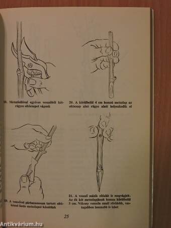 A szőlő helybenoltása, döntése, bujtása