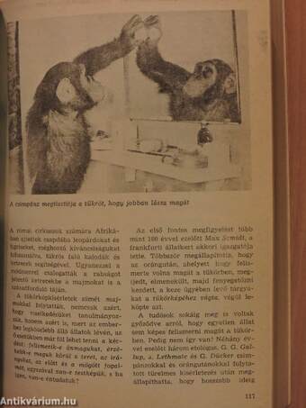 Az Élet és Tudomány Kalendáriuma 1981