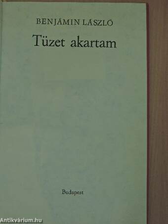 Tüzet akartam