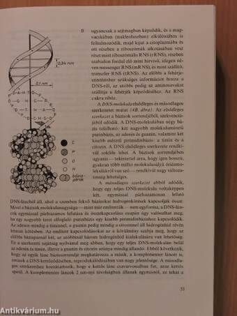 Növényszervezettan és növényélettan