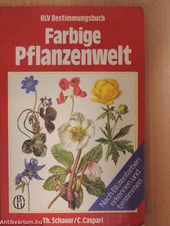 Farbige Pflanzenwelt