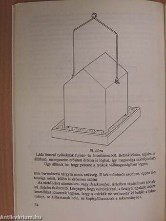 Csirkék, tyúkok a ház körül