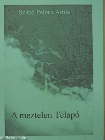 A meztelen Télapó/A.