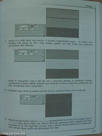 Macromedia Flash MX