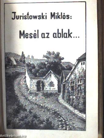 Mesél az ablak.../Borország/Tavaszi Reggel/Egy különleges könyvtár