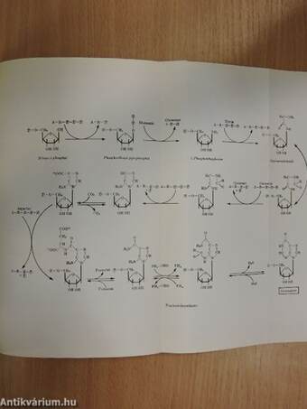 Medizinische Biochemie