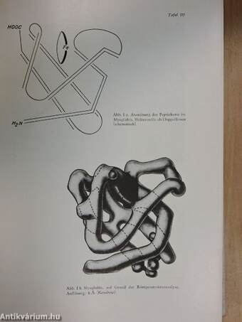 Medizinische Biochemie