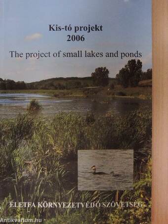 Kis-tó projekt 2006