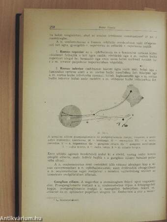 Rendszeres bonctan I-II.