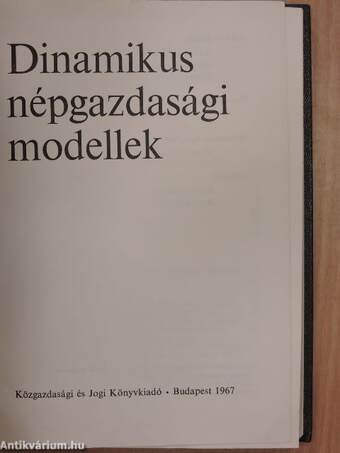 Dinamikus népgazdasági modellek