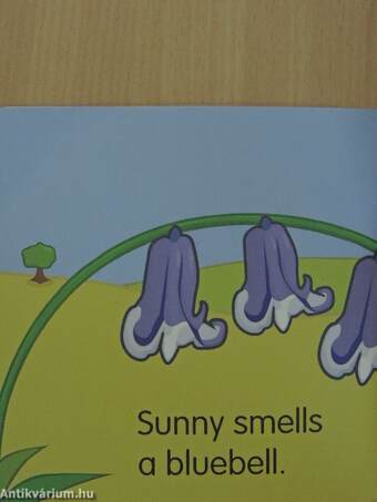 What can Sunny Smell?