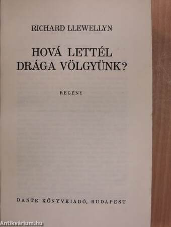 Hová lettél drága völgyünk?