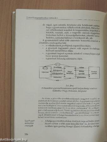 Külgazdasági stratégia