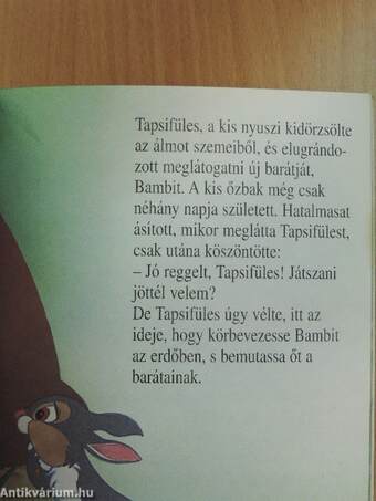 Bambi felfedezi a világot