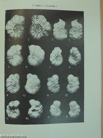 Földtani Közlöny 1970/1-4.