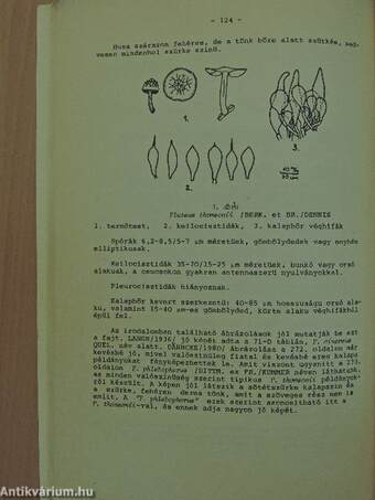 Mikológiai Közlemények 1984/2-3.