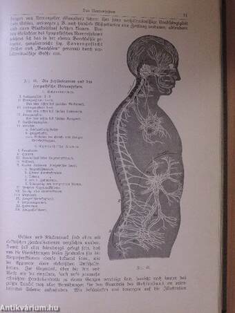 Atlas der Anatomie des Menschen (gótbetűs)