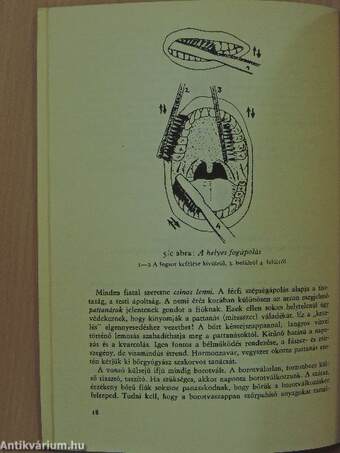 A családi élet iskolája fiúknak