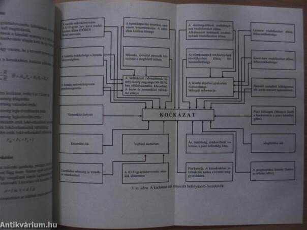 Az informatika gazdasági és humán aspektusai