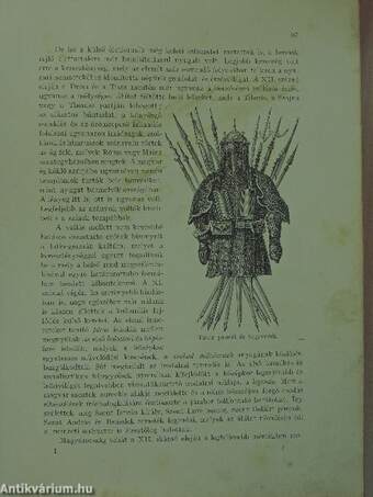 Magyarország történelme, földje, népe, élete, gazdasága, irodalma, művészete Vereckétől napjainkig I. (rossz állapotú) (töredék)