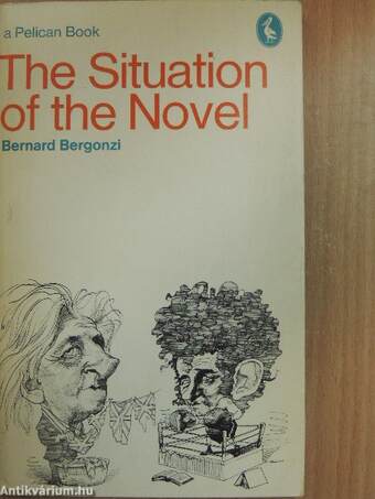 The Situation of the Novel