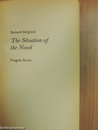 The Situation of the Novel