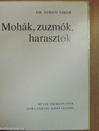 Mohák, zuzmók, harasztok