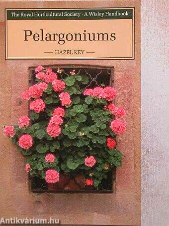 Pelargoniums