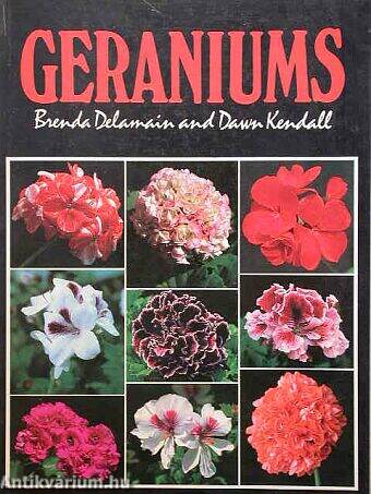 Geraniums