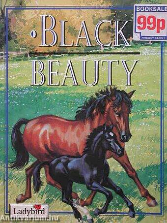 Black Beauty