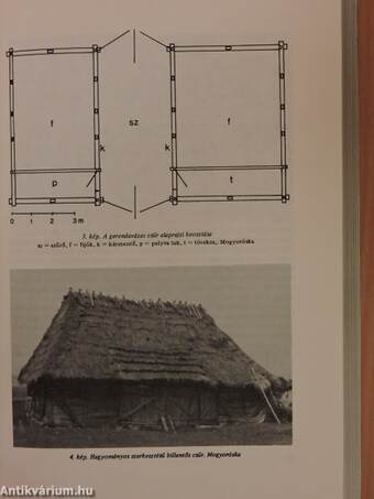 Néprajzi tanulmányok a Zempléni-hegyvidékről