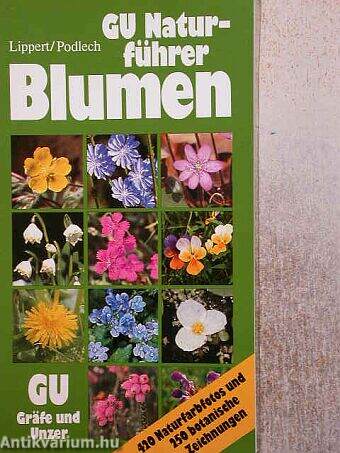 Blumen