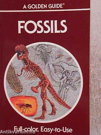 Fossils