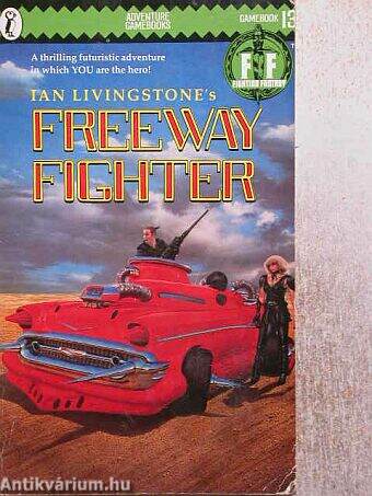 Freeway Fighter