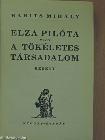 Elza pilóta vagy a tökéletes társadalom