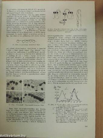 Fizikai Szemle 1965. november