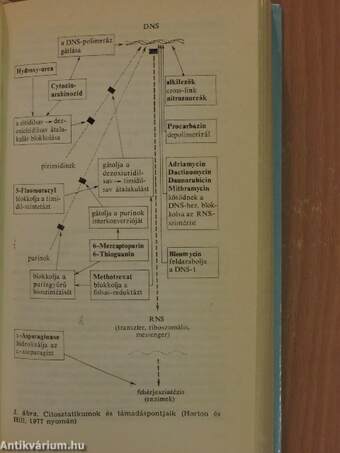 Rosszindulatú daganatok gyógyszeres kezelése