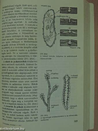 Biológiai stúdium