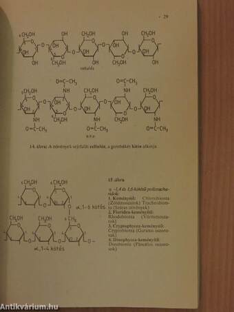 Növényrendszertani gyakorlatok I.