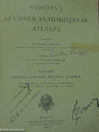 Az ember anatomiájának atlasza I-III.