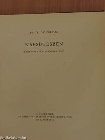 Napsütésben