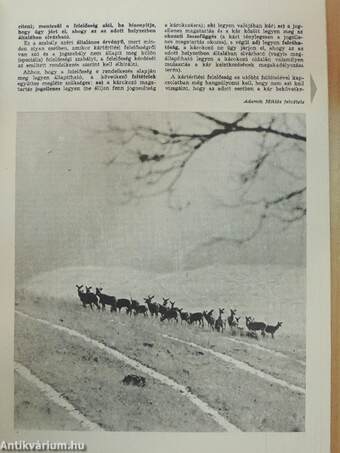 Nimród 1975. január