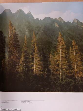 Tatry nase malebné