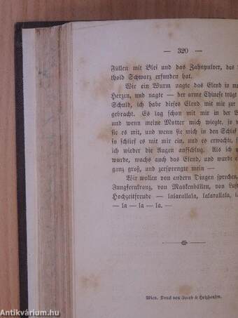 Heinrich Heine's sämmtliche Werke 1-2. (gótbetűs)