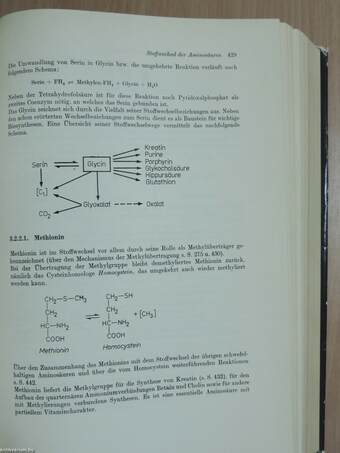 Medizinische Biochemie