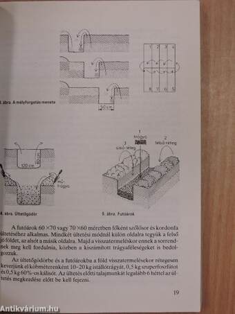 Ősztől őszig a kertbarátoknál