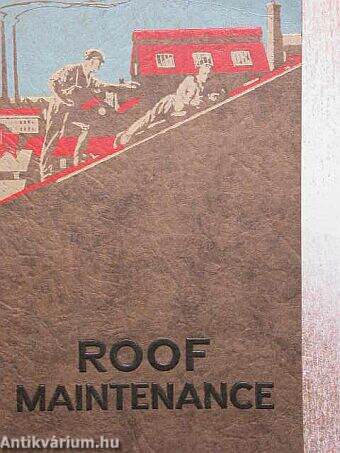 Roof Maintenance