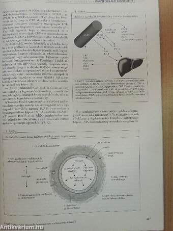 Lege Artis Medicinae 2006. március